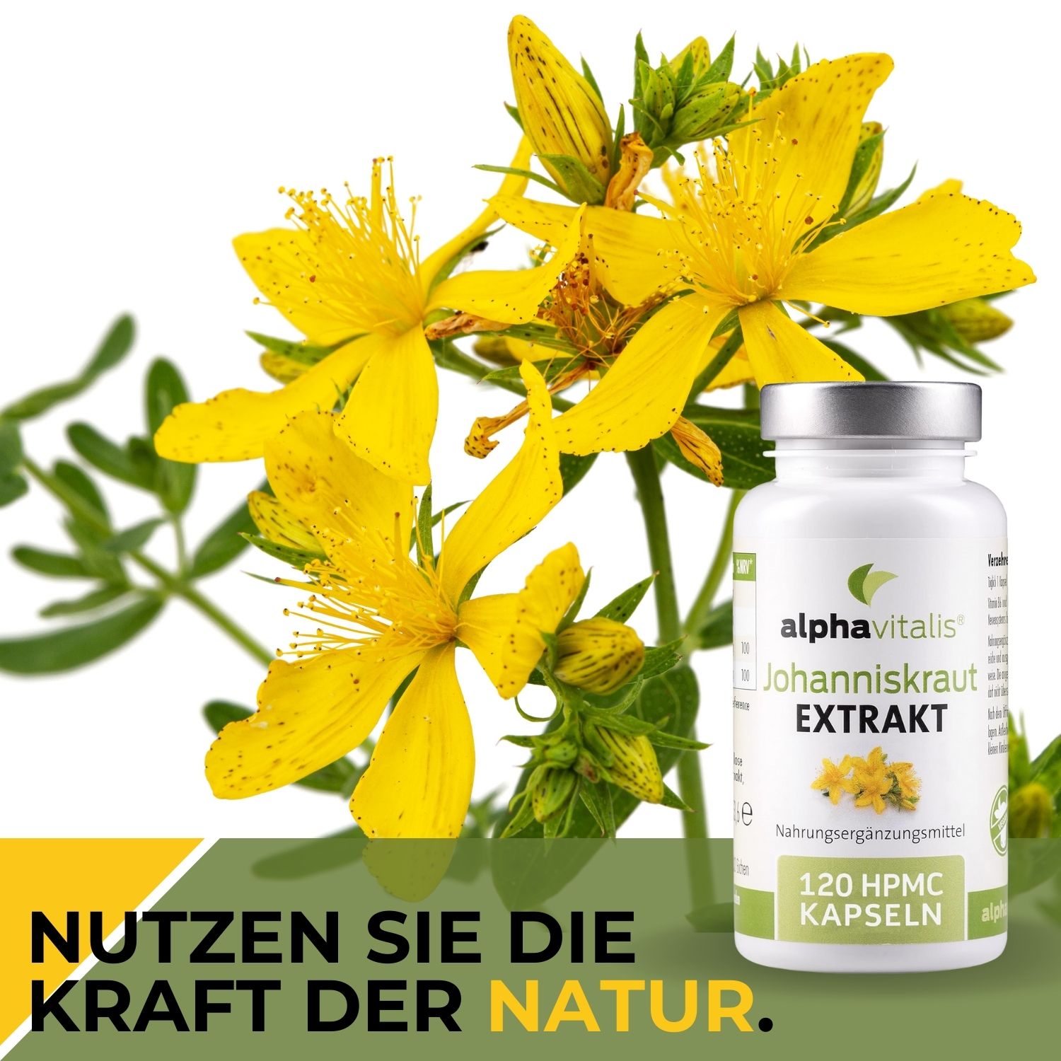 Johanniskraut Extrakt