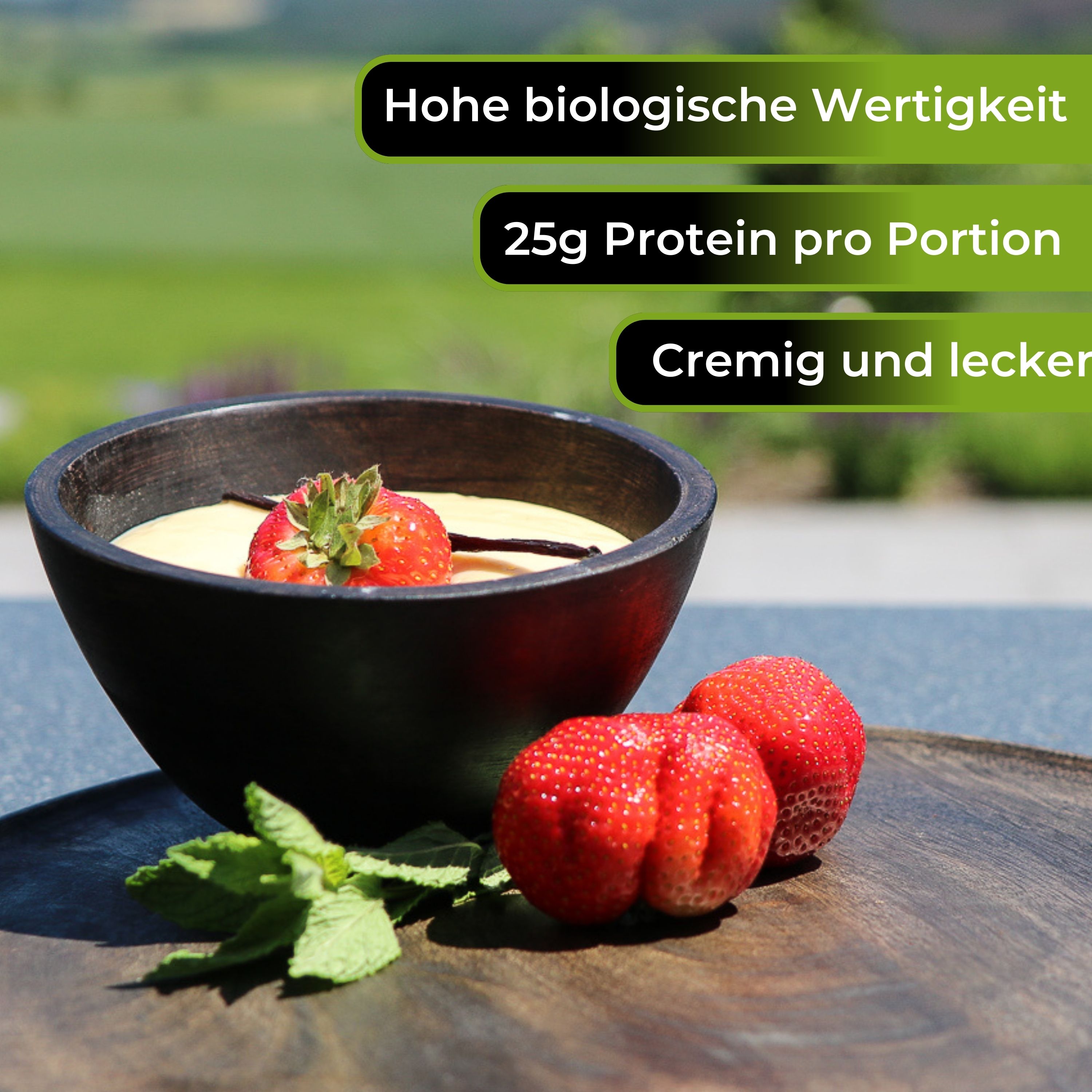 Protein Pudding - Whey + Casein - Vanille