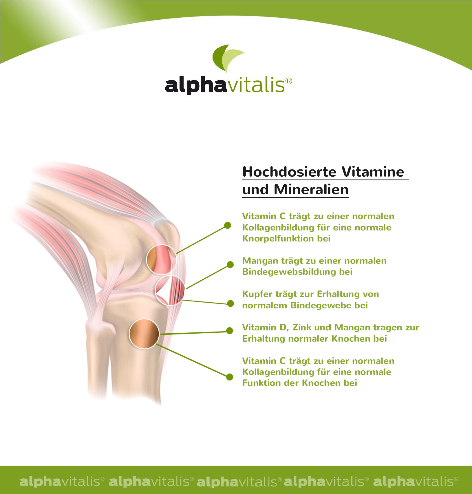 Glucosamin Chondroitin Komplex