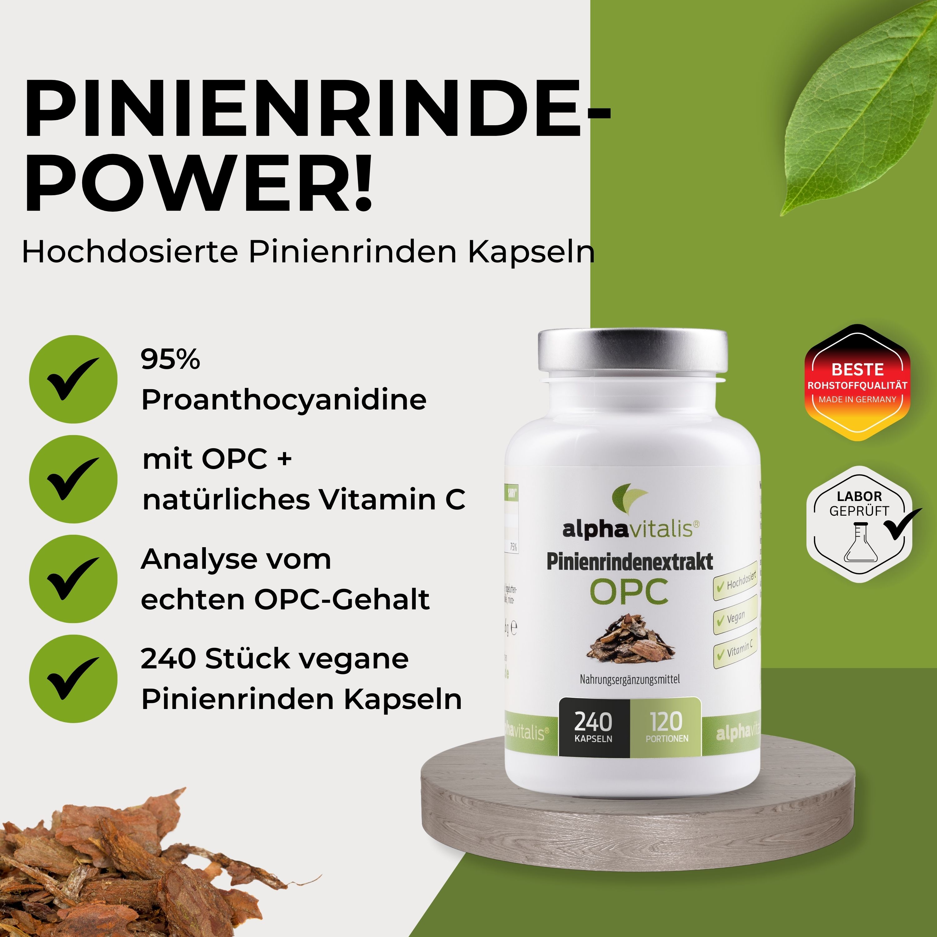 Pinienrindenextrakt